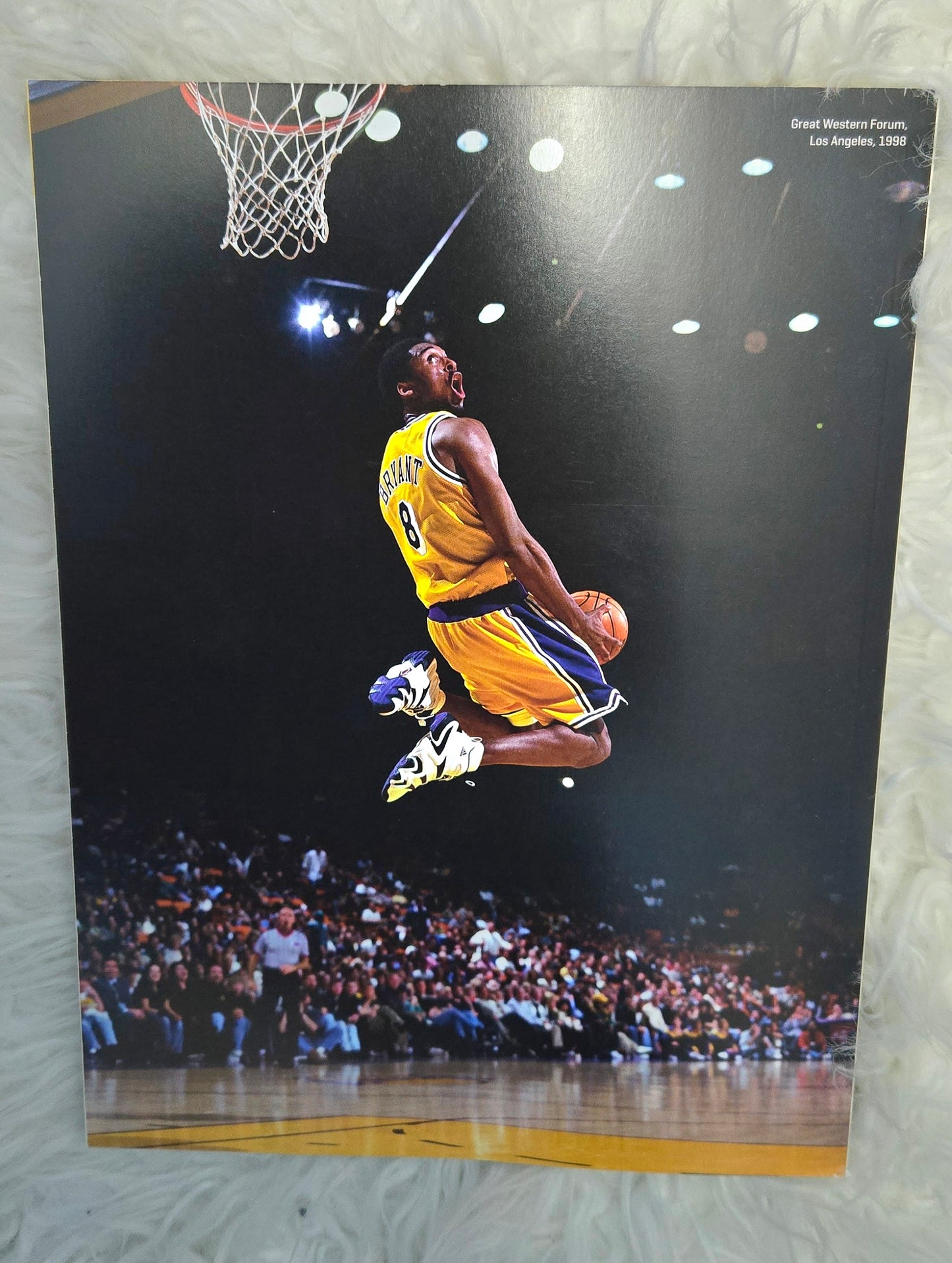 Extraordinary Life of a Legend: Kobe Bryant The Black Mamba