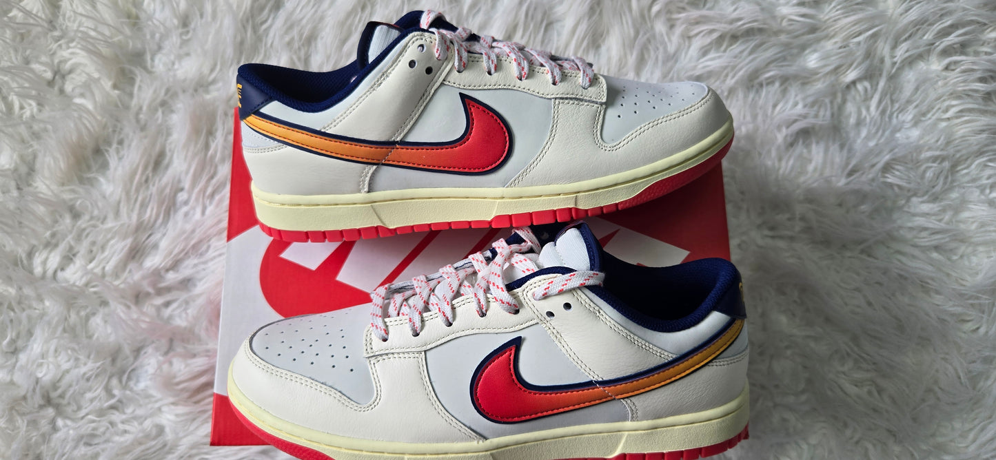 Nike Dunk Low Retro ( 10 )
