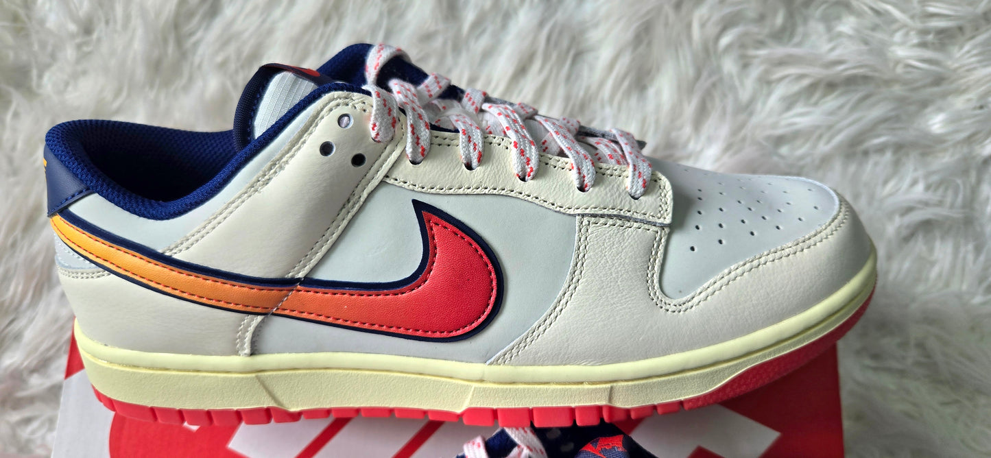 Nike Dunk Low Retro ( 10 )