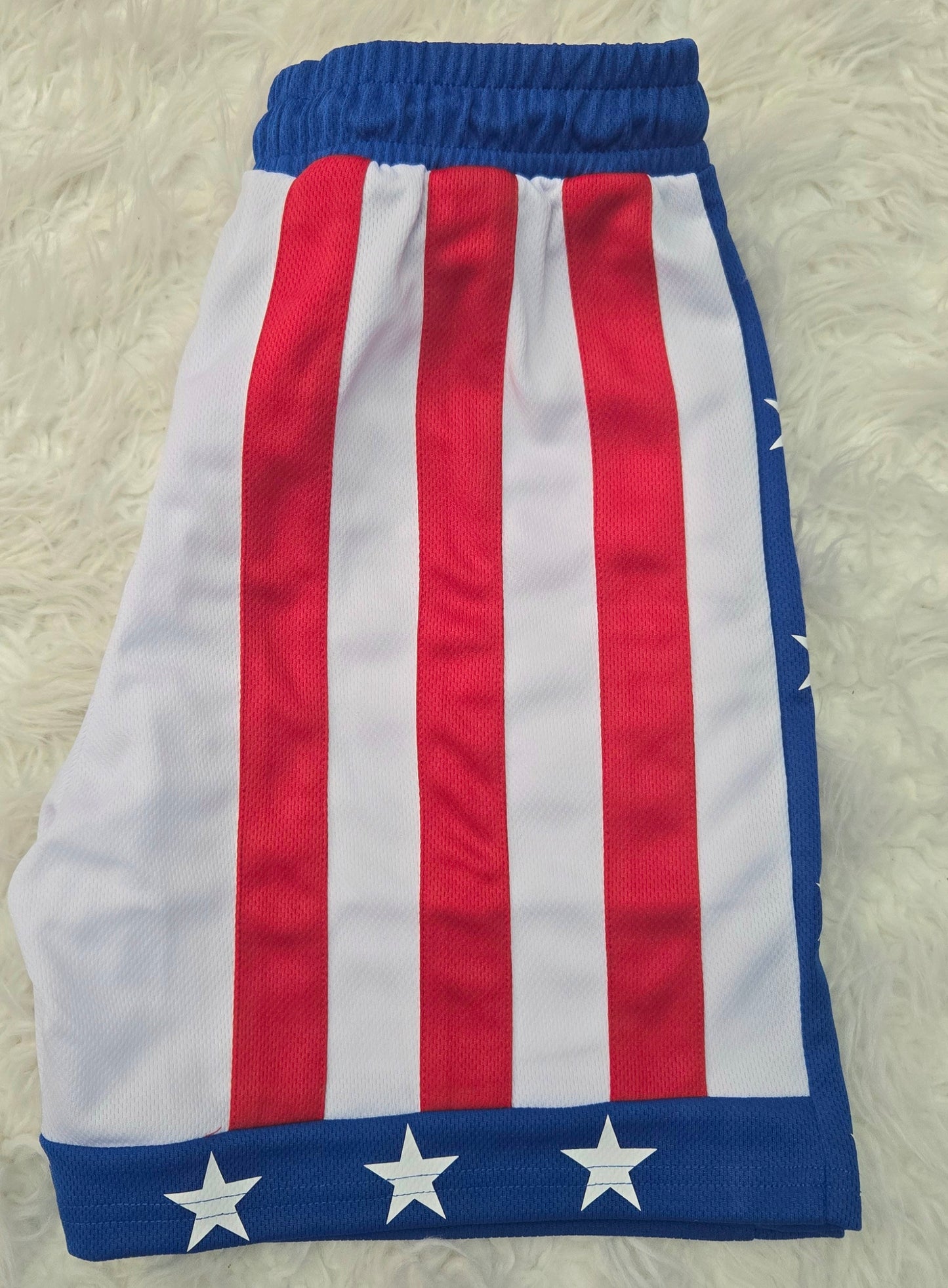 Rocky Boxing Trunks ( L )